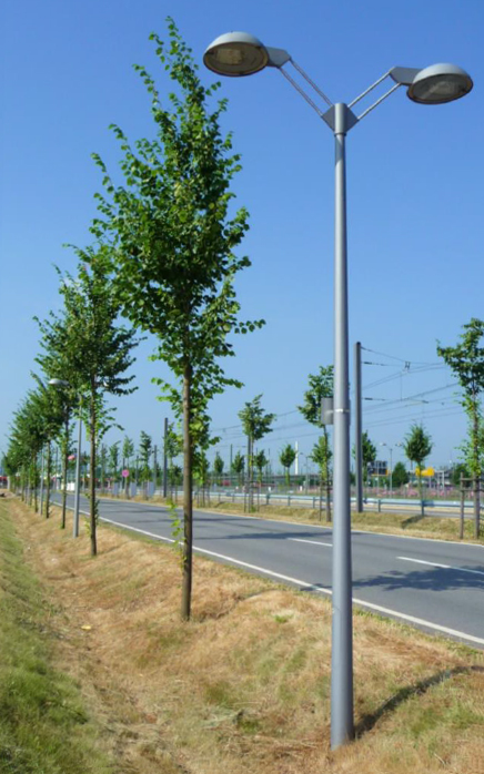 GFK Lichtmasten und Laternenmasten an Bundesstraße GFK-Lichtmasten-und-Laternenmasten-an-BundesstrassecHFfG1uHqSV0L